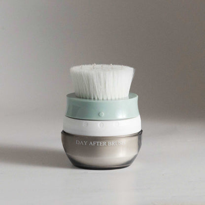Day After™ Brush — Dry Shampoo Applicator