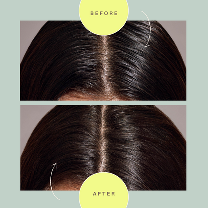 Day After™ Brush — Dry Shampoo Applicator